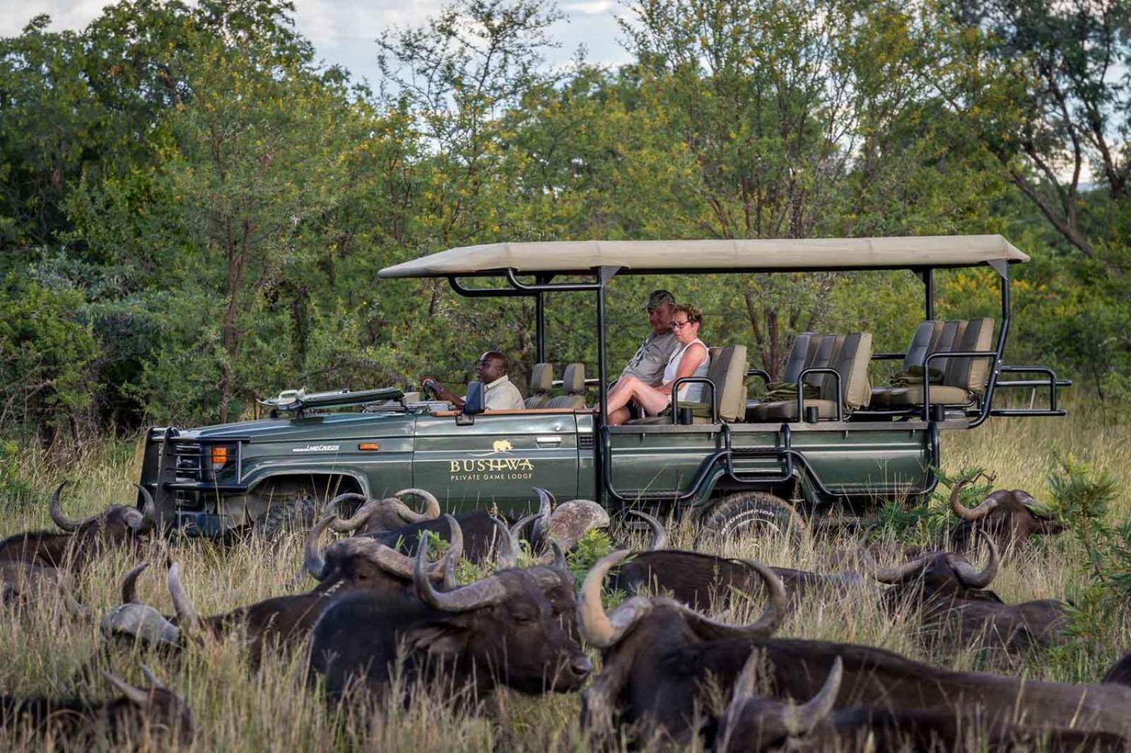 Bushwa Private Game Lodge Фаалватер Екстериор снимка