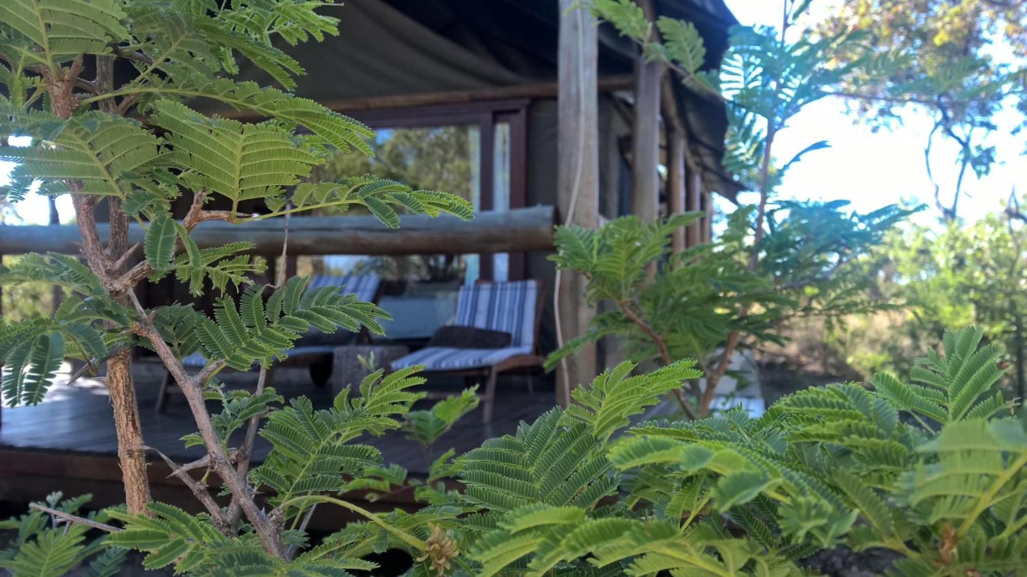 Bushwa Private Game Lodge Фаалватер Екстериор снимка